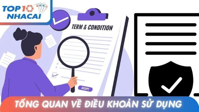 Tổng quan về điều khoản sử dụng tại chuyên trang